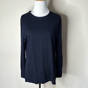 Banana Republic Navy Extra Fine Merino Wool Crewneck Sweater